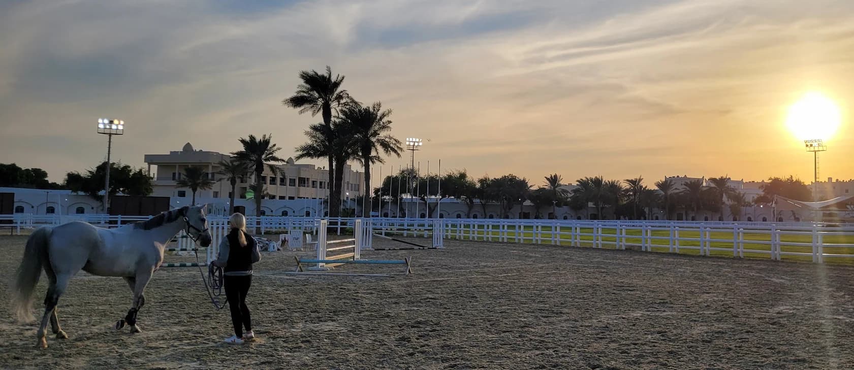 Paard en omgeving bij zonsondergang